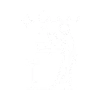 experiencia-04.png 