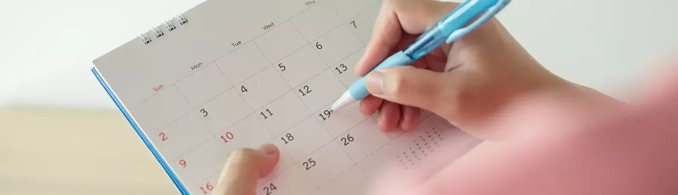 periodos vacacionales por ley en España 