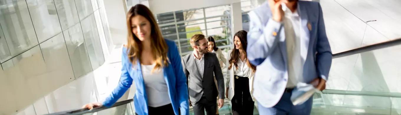 networking beneficios