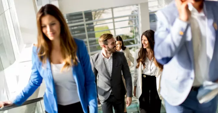 networking beneficios