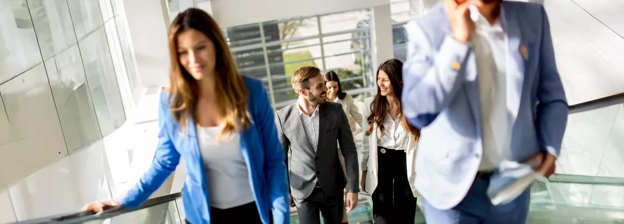 networking beneficios
