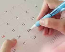 periodos vacacionales por ley en España
