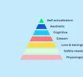 pirámide de maslow